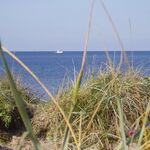 Grethe1