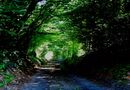 Chemin de la Fontaine-Navarre