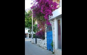 Bodrum