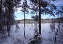 Bisaträsk som det skulle se ut normalt