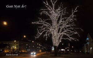 Gott Nytt År!