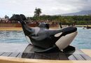 Loro Parque