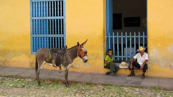 Gatuliv i Trinidad.