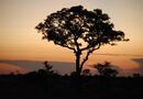 Beautiful sunset