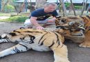 The Tiger Kingdom