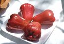 Fruit of Chom poo ma miaw 
