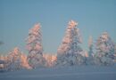 Högfjället