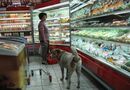 Vardag i Bangkok
