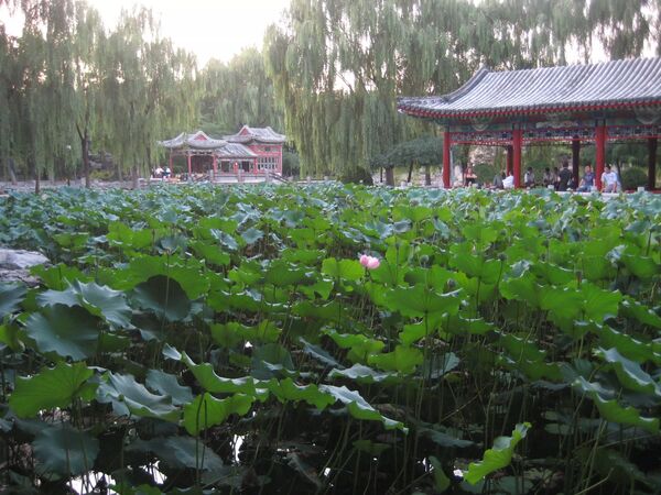  - Rit ha Park - Kina