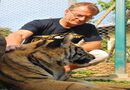The Tiger Kingdom