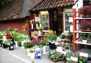 Blomsterhandel