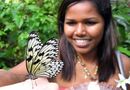 Singapore; Sentosa Butterfly Park