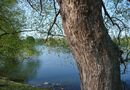 Pildammsparken