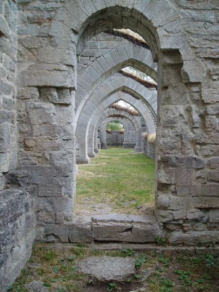 Alvastra klosterruin -  - Sverige