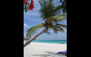 Paradis i solen!