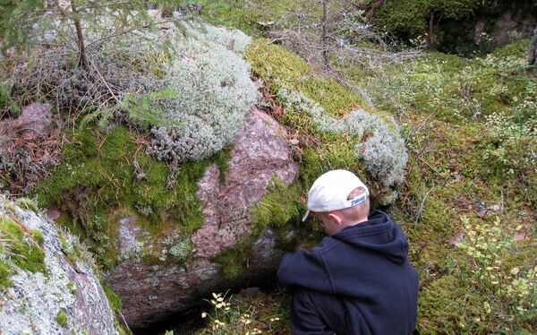 Här tror jag rumpnissarna bor -  - Sverige