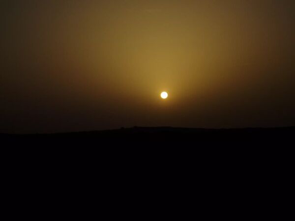  -  - Tunisien