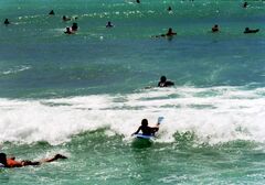 Vattnet utanför Waikiki Beach är perfekt för surfning.