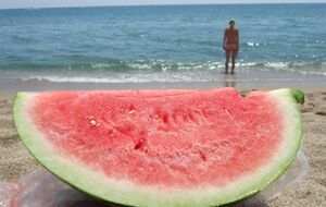 Melon