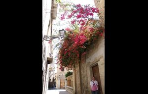 Trapani