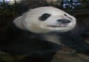 Beijing Zoo