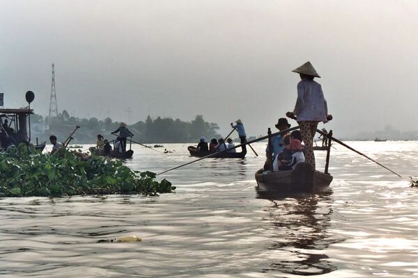 Mekong Delta - Phung Hiep - Vietnam