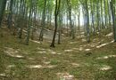 Kerek-erdő :)