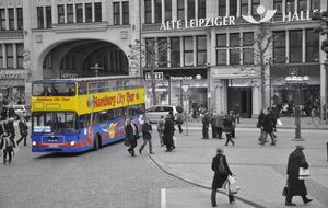 Sightsingbuss