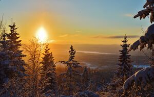 God jul