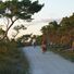 Det finns inte många platser i Sverige som är så perfekta för cykling som Gotland.