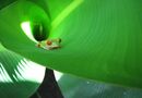 Tunnelseende