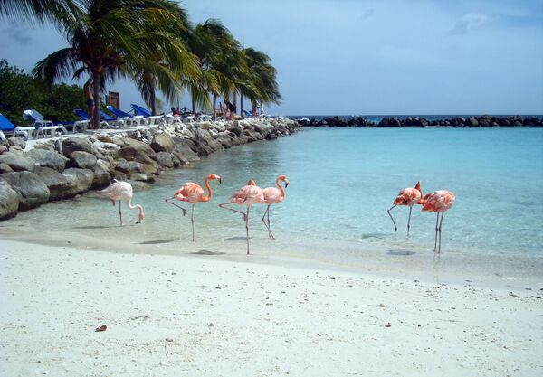 Renaissance Island -  - Aruba
