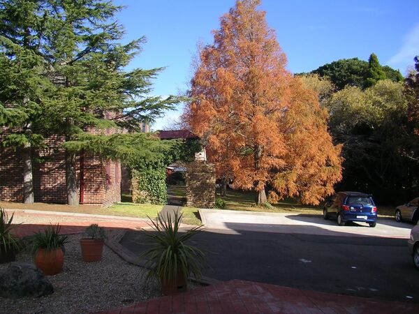 Blue Mountains Hotel School -  - Australien