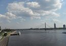 Fiskmås i Riga