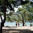 Bara några mil från de populära badorterna Alcudia och Puerto Pollensa på nordöstra Mallorca ligger den otroligt vackra stranden Platja de Formentor.