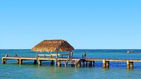 Äntligen charter till Tobago