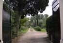 Paradisino