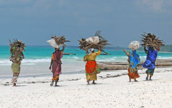Vedinsamling -  - Tanzania