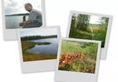 Collage, (gjort i picasa 3, gratis från google.)