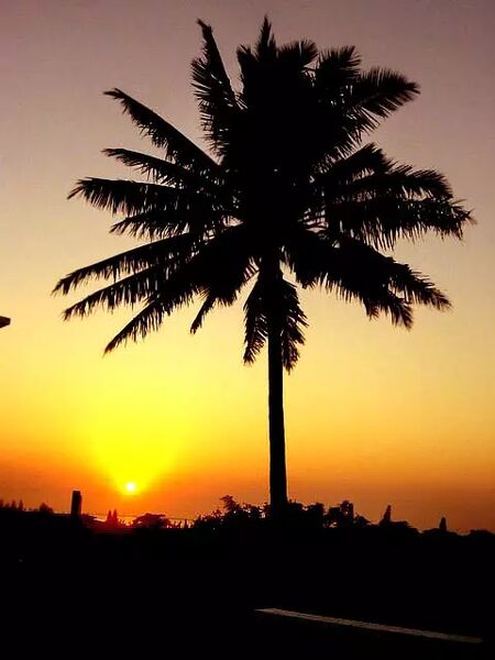 Solnedgång från terrass i Maputo - Maputo - Moçambique