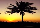 Solnedgång från terrass i Maputo