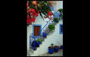 Grekmys från Skiathos