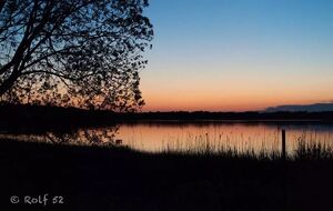 Midsommarnattsdröm
