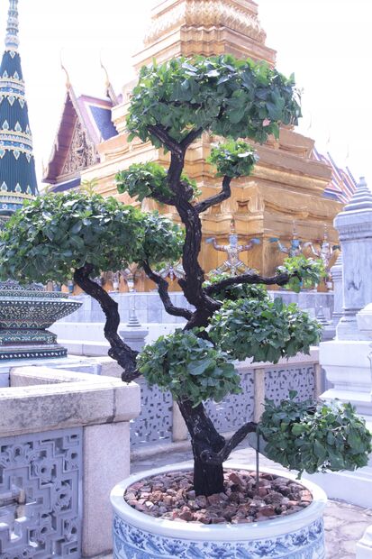 Thailand - Bilder Bangkok, Thailand