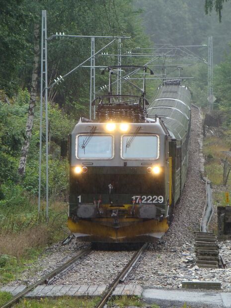 Kollektiv oslo priser