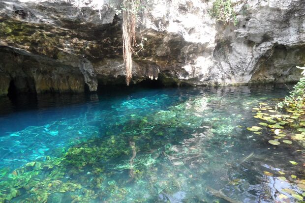 Grand Cenote - Bilder Tulum, Mexiko