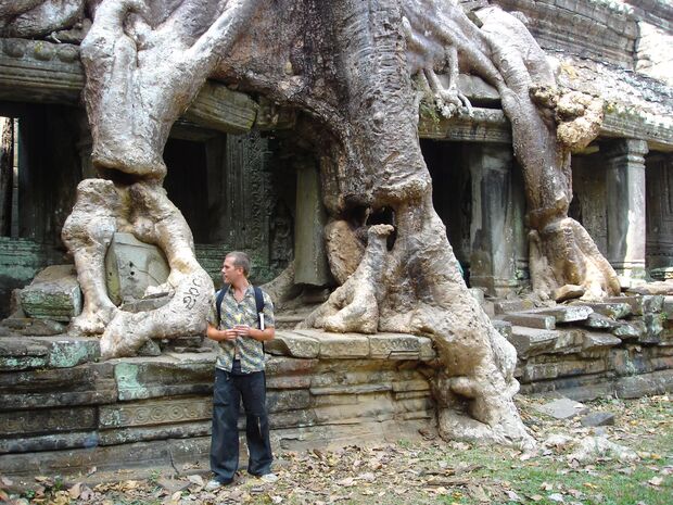 Tradrotter XXX-Large - Bilder Siem Reap, K picture image