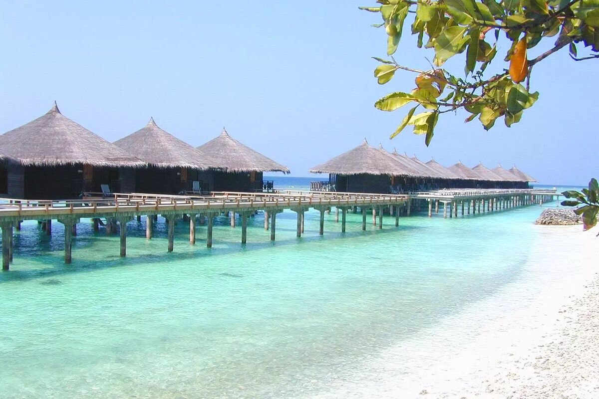 Cottage club