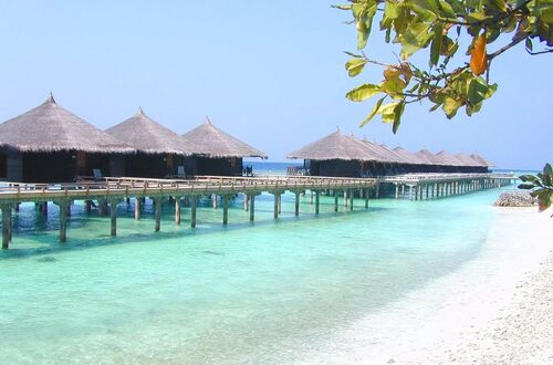 Cottage club