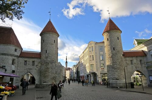 Tornen i gamla stan i Tallinn